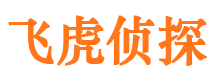 柳河侦探公司